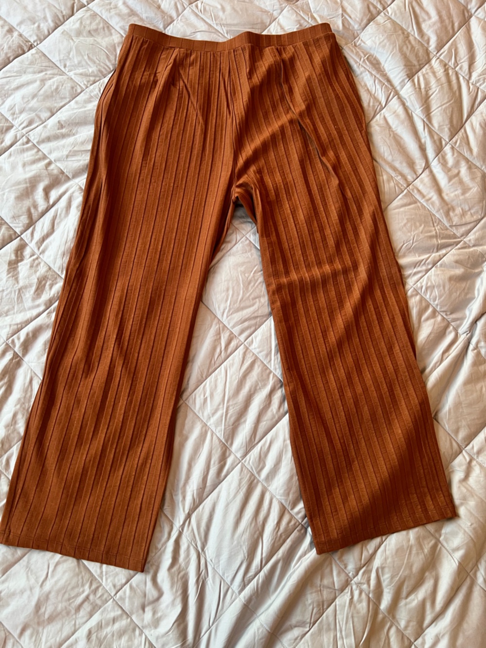 Eileen Fisher Women’s Rust Ribbed Knit Slim Pants Size Large
